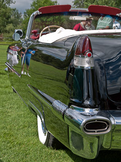 1956 Cadillac
              Convertible